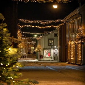 guirlande lumineuse