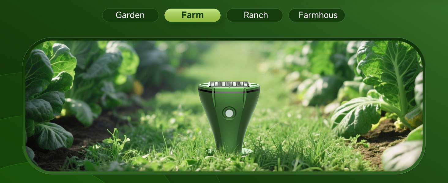 aplus content image