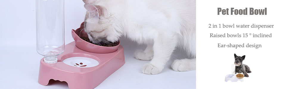 bol pour chat