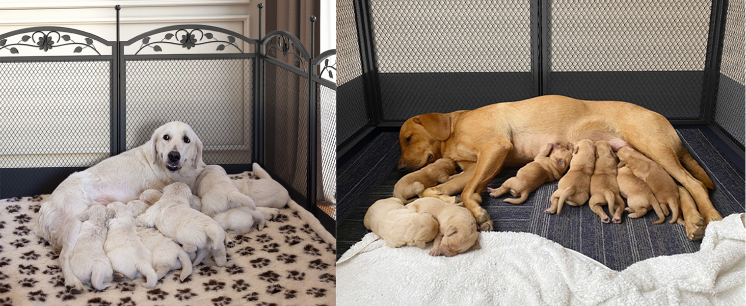 wurfbox wurfkiste welpenlaufstall wohnung für Hunde Katzen kaninchen katze gehege zaun hundebox