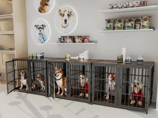Bingopaw Gabbia per Cani interno