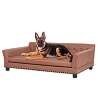 Sofa perro gato