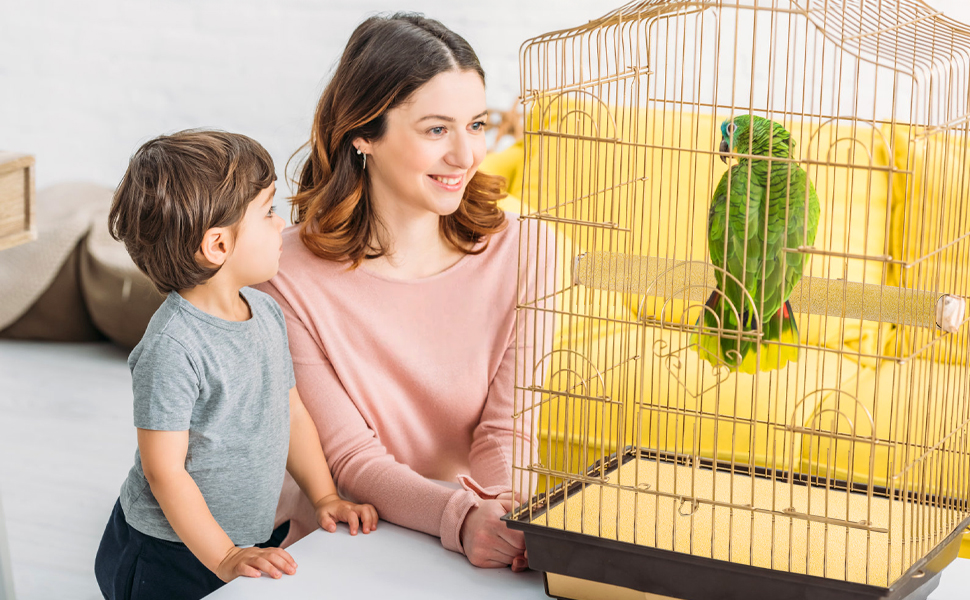 Text reads 'Image 1'. People interacting with a yellow bird cage containing parakeets. Indoor setting with natural lighting and indoor plants visible.