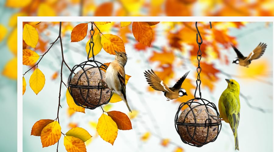 Comedero colgante para pájaros