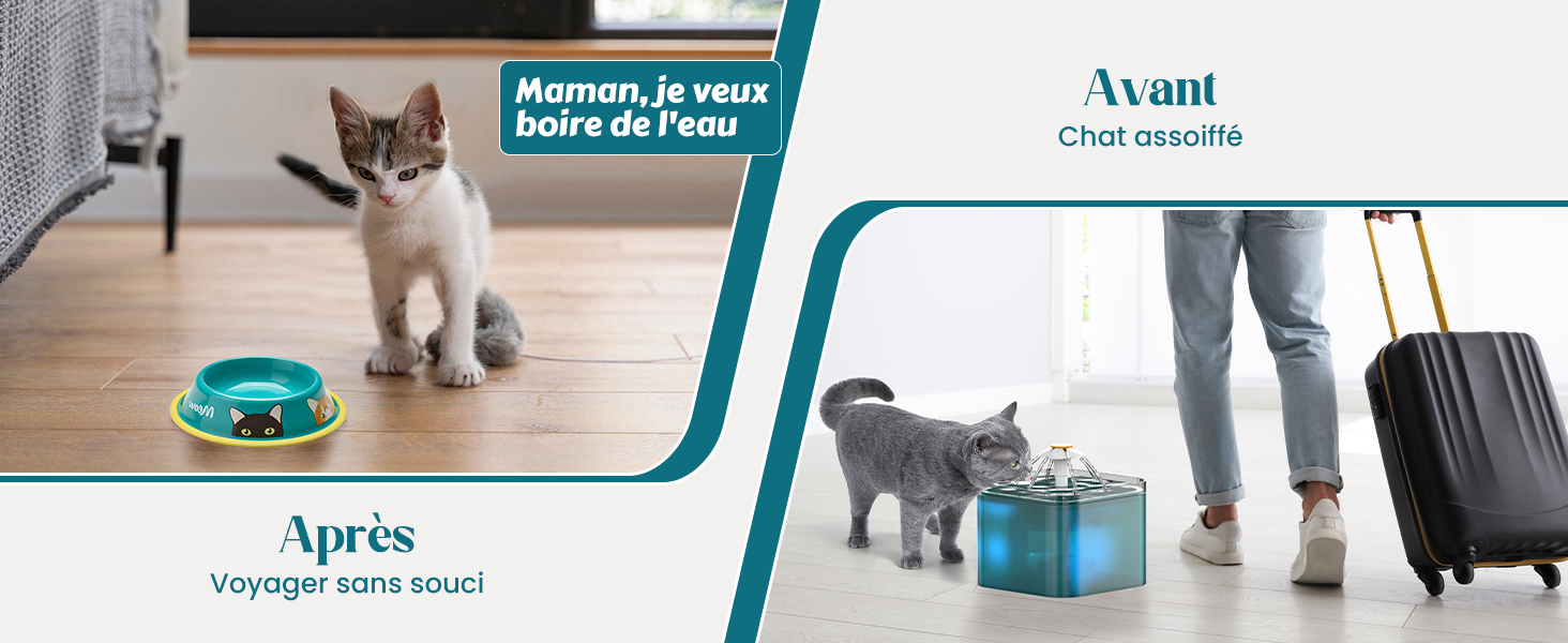 fontaine eau chat, fontaine a eau chien, fontaine à eau chat,