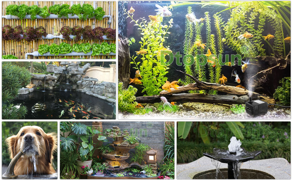 Aquarium Water Pumps