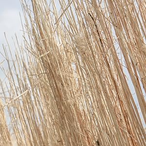 jute naturel