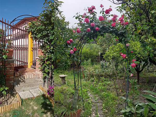 supporto per cancello in ferro pergole arco da giardino struttura piante rampicanti rose esterno