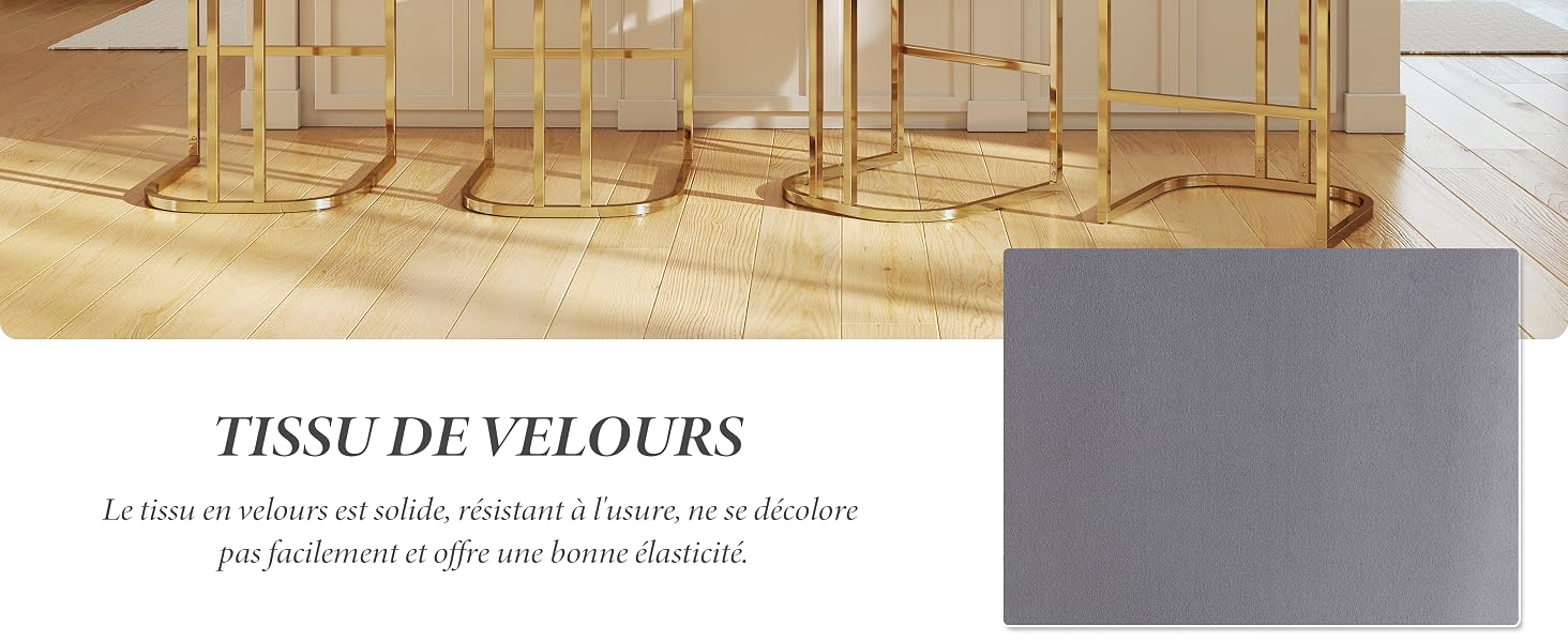 Le texte indique « TISSU DE VELOURS » avec une élégante description française ci-dessous. L'image montre des poteaux dorés avec des cordes de velours dans un cadre luxueux.