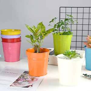 Removable handle design