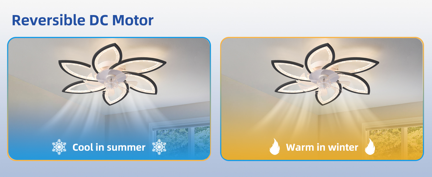 ceiling fan