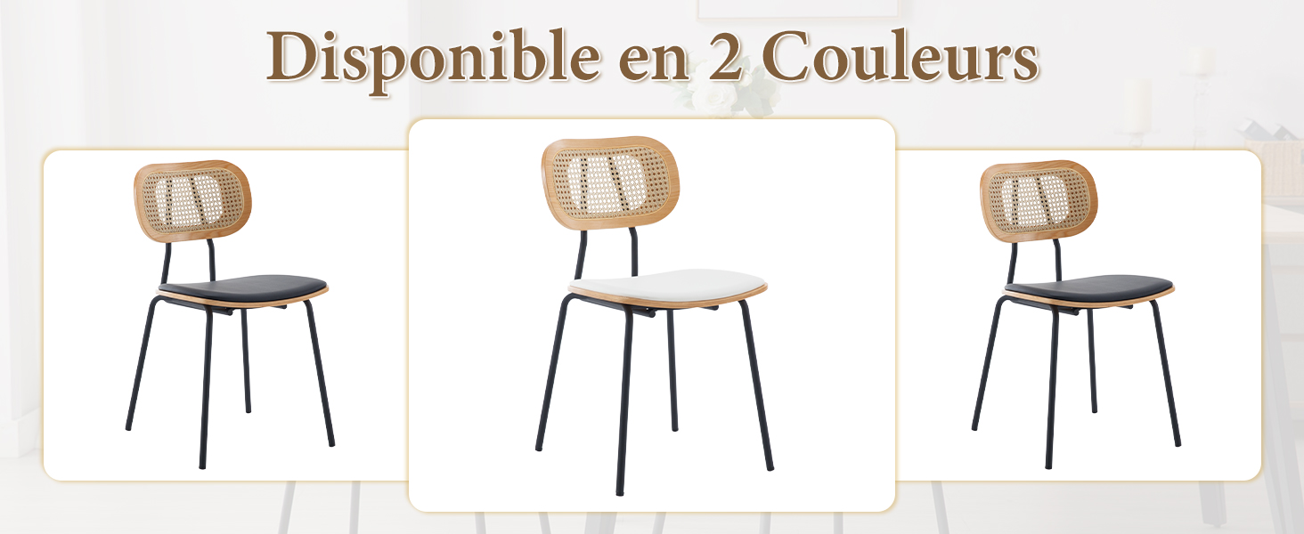 Rotin Chaise Salle à Manger 