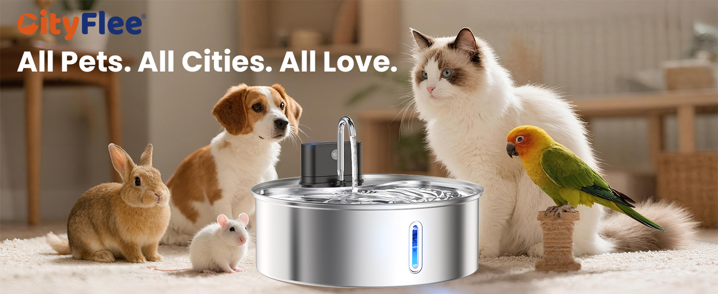 dog automatic water dispenser