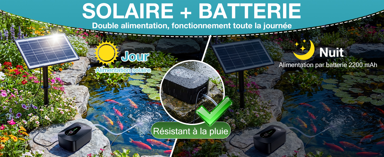 Le texte indique « SOLAIRE + BATTERIE » avec des icônes de panneau solaire et de batterie. Bannière composite représentant des panneaux solaires, des abeilles, des fleurs jaunes et des feuilles vertes illustrant les thèmes des énergies renouvelables et de la nature.