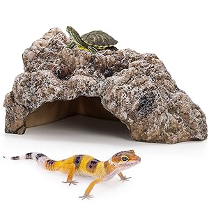 aplus content image