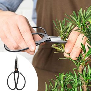 bonsai tool set