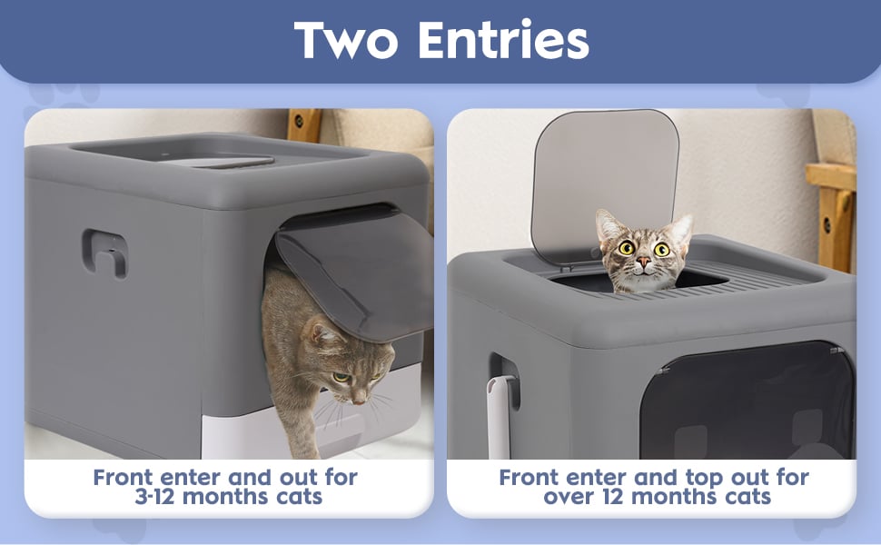 BingoPaw Lettiera gatto chiusa cassetta: toilette per gatti grande contenitori per lettiere cassetta