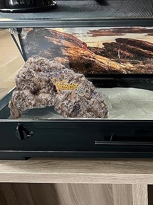 aplus content image