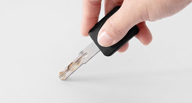 Portachiavi per auto nero da tenere in mano con inserto metallico su sfondo bianco, dimostrativo del dispositivo di controllo remoto a chiave.