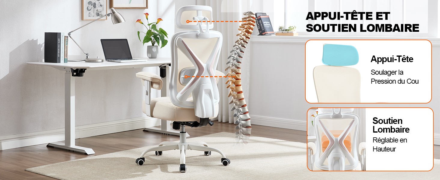 Chaise de Bureau Ergonomique