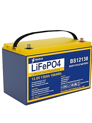 LiFePO4 Akku 60V 18Ah 20A Lithium-Eisen-Phosphat Batterie, 619,00 €