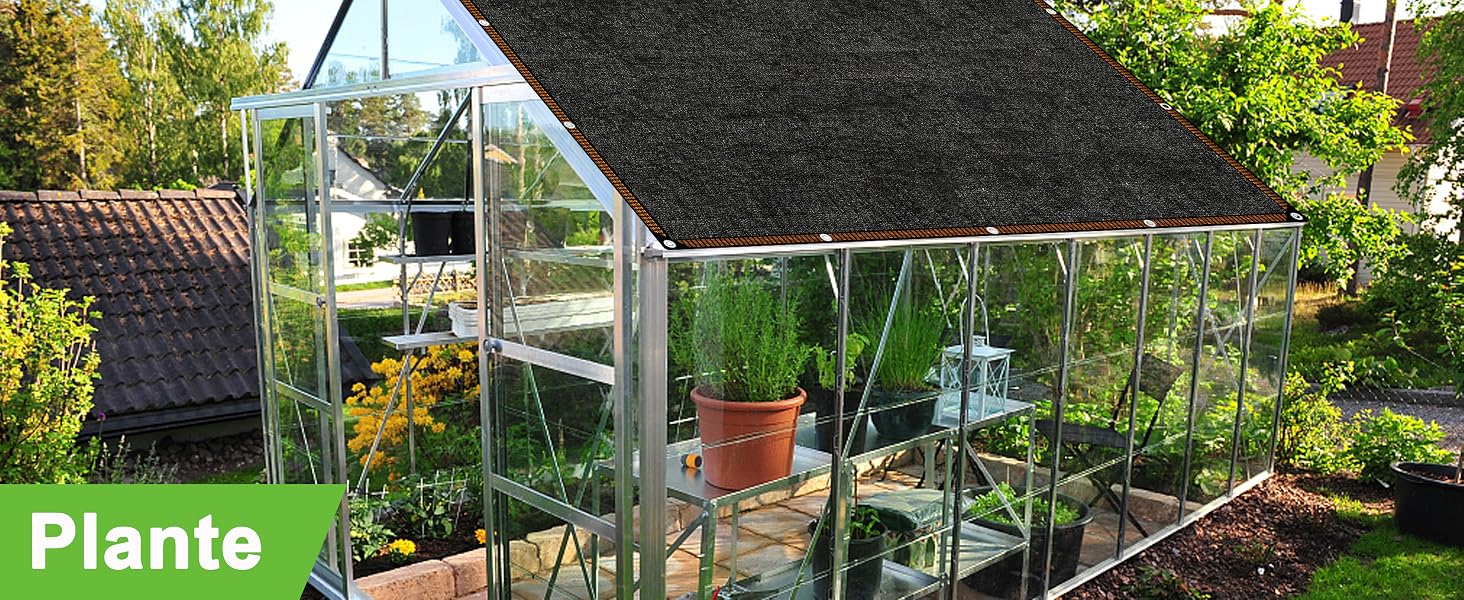 Structure de serre en verre avec panneau de toit noir, contenant des plantes en pot et des supports grimpants dans un jardin.