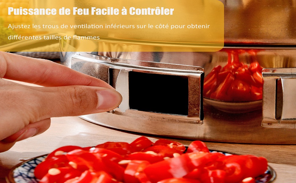 Barbecue Grill Multifonctionnel