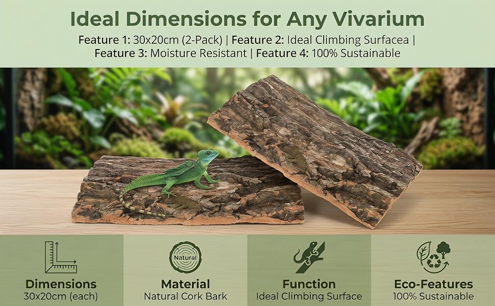 Text reads 'Ideal Dimensions for Any Vivarium', 'Feature 1: 30-50cm (2 Feet)', 'Feature 2: Ideal Climbing Surfaces', 'Feature 3: 2 Moisture Retreats', 'Feature 4: 50% Substrate', 'Dimensions', 'Material', 'Function', 'Eco-Features'. Infographic showing terrarium setup with wood branches, substrate layers, and moisture retreat features for reptile habitats.
