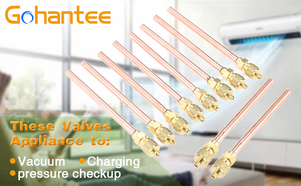 gohantee