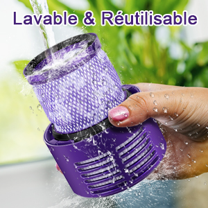 FIltre v10 absolute lavable