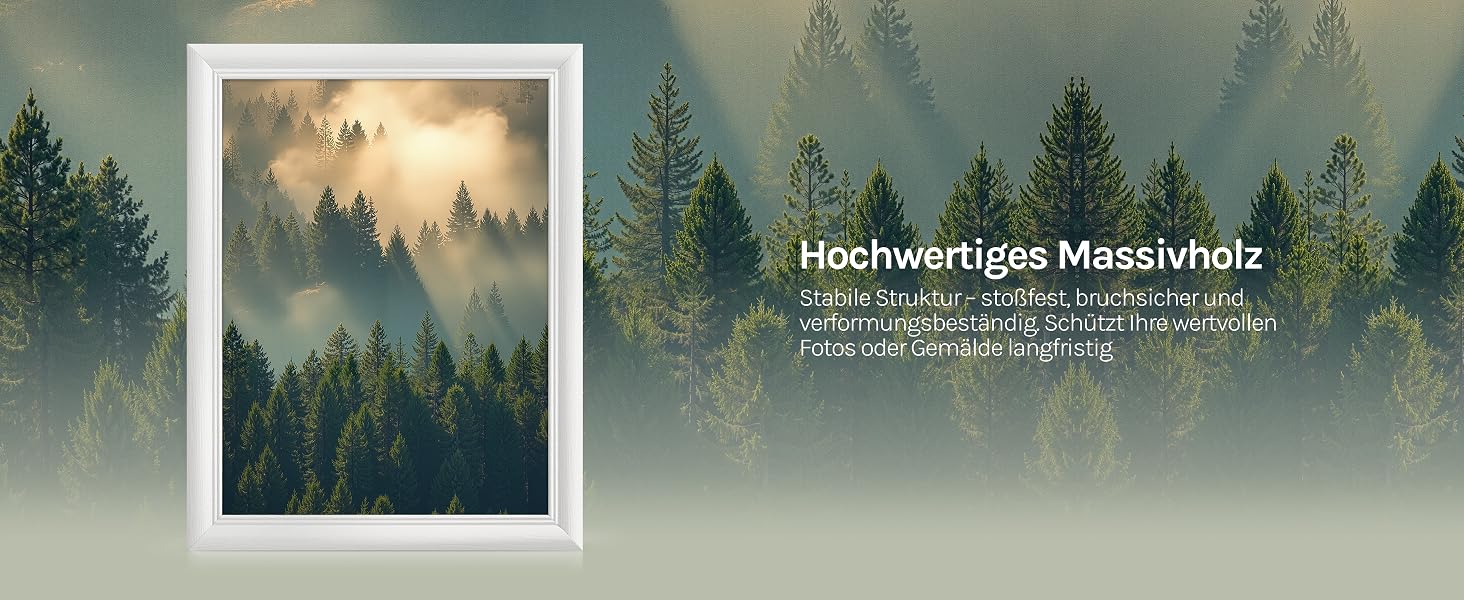 Der Text lautet „Hochwertiges Massivholz“. Nebelige Waldlandschaft mit immergrünen Bäumen, die sich bei Sonnenaufgang oder Sonnenuntergang vor dem nebligen Himmel abheben.