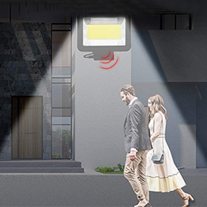 PIR Motion Sensor 