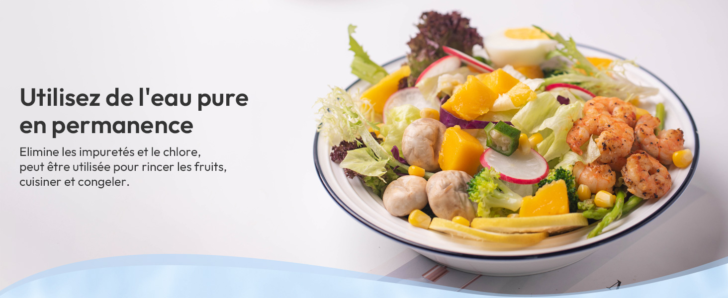 Salade colorée sur une assiette blanche avec divers ingrédients, notamment de la laitue, des oranges et d'autres légumes. Le texte en français sur l'utilisation d'eau pure est visible.