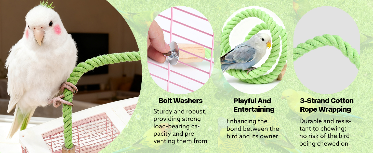 aplus content image