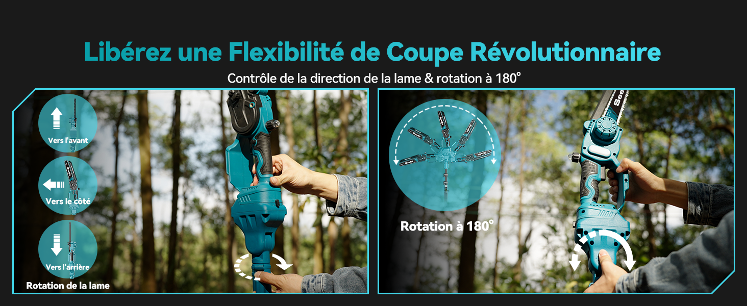 Seesii Mini tronçonneuse 2 en 1 de 8 pouces avec télescope