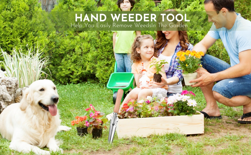 Hand weeder tool shown in garden setting. Long-handled metal tool with forked end for removing weeds. Family gardening scene with wooden planter box and flowering plants.