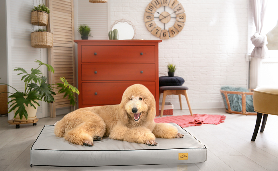 hundebett matratze wasserdicht hundebett extra groß hundebett hundebett weich bequem bett