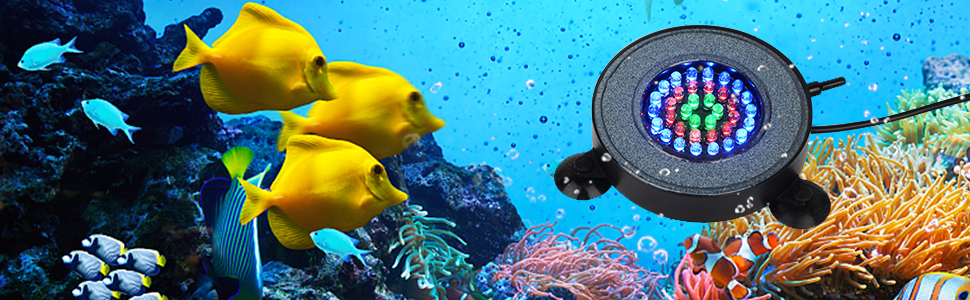 Underwater scene with yellow tropical fish and coral reef. Circular LED aquarium light visible in foreground.