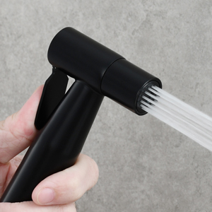 Acier Inoxydable Kit Douchette Toilette