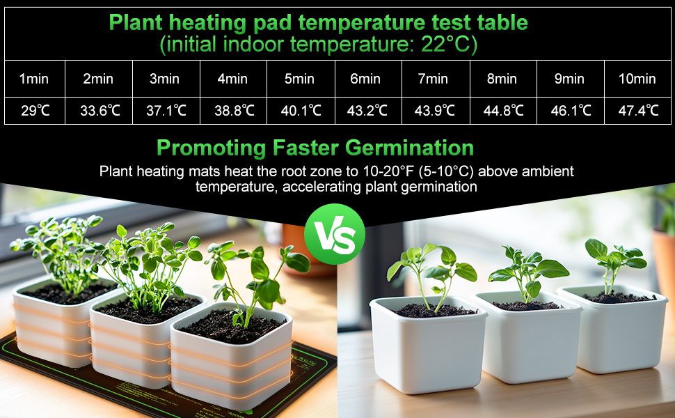 Comparación de esteras térmicas para plantas que muestra la curva de temperatura y el crecimiento de las plántulas en contenedores rayados y blancos. Promueve una germinación más rápida al mantener la temperatura entre 10 y 20 °F por encima de la temperatura ambiente.