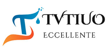 TVTIUO Fregadero de Cocina, Fregadero de Cocina Multifuncional de Oro Cepillado