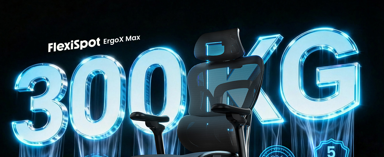 FlexiSpot ErgoX Max 3