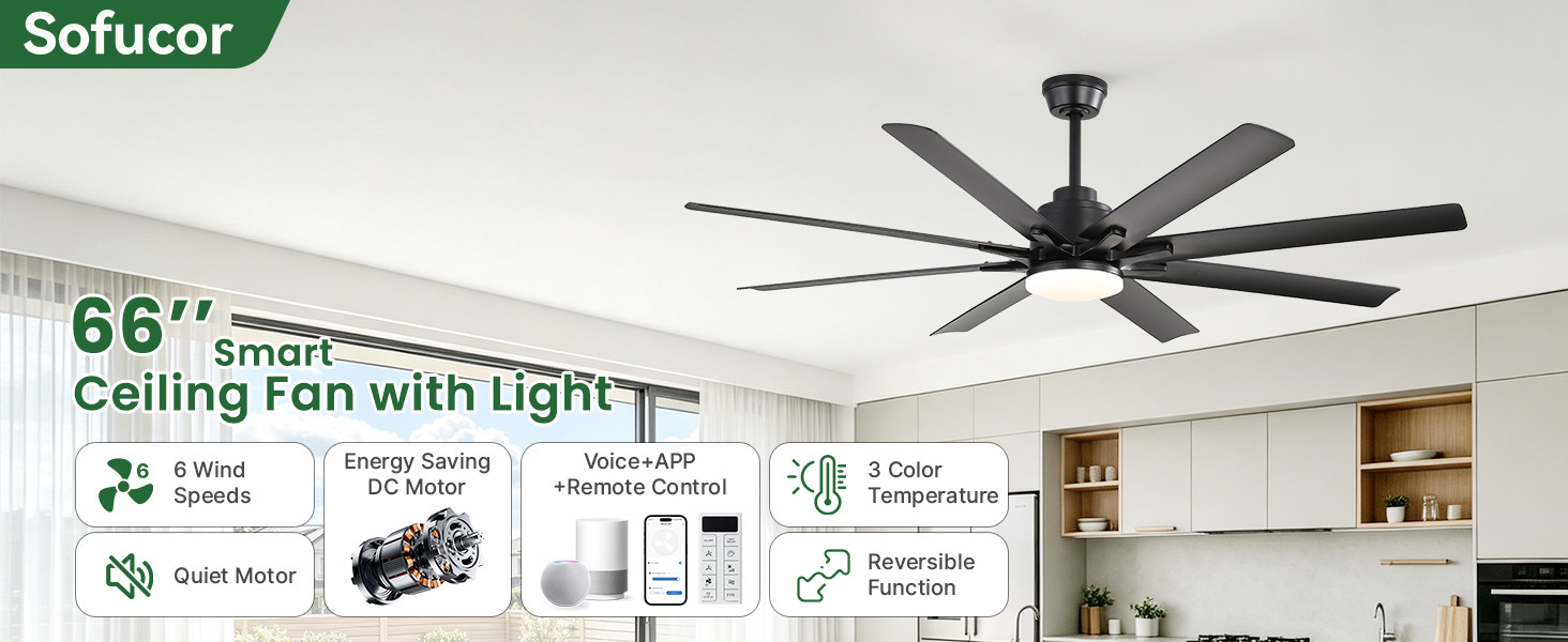 large ceiling fan