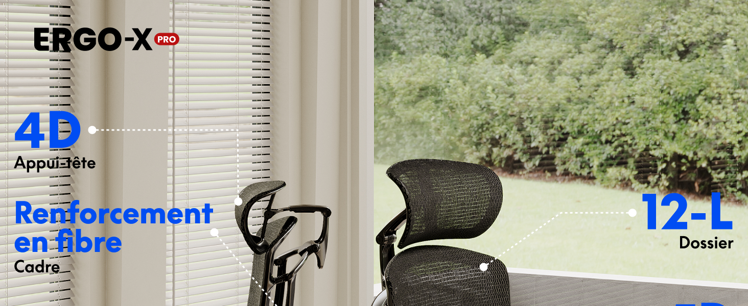 FlexiSpot ErgoX Pro 1