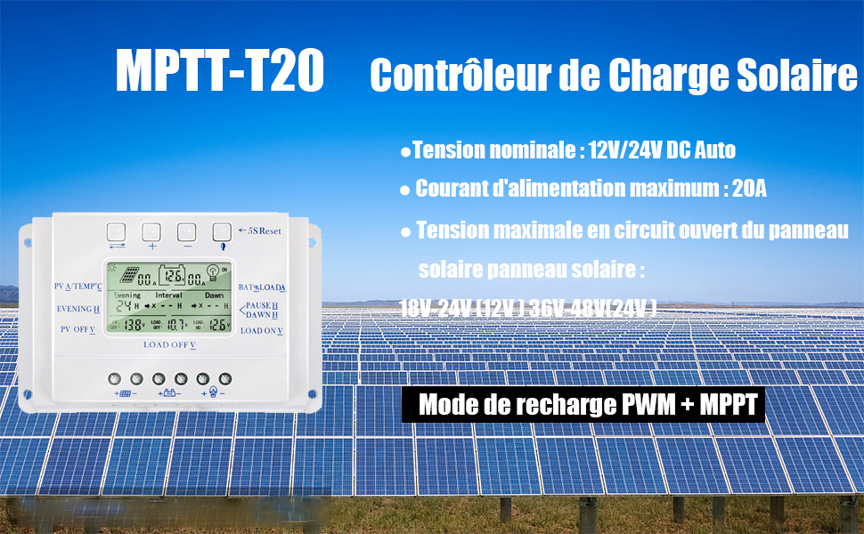 T20