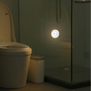 motion sensor light