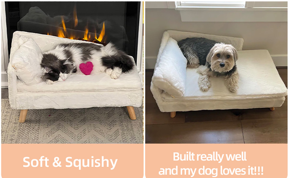 lit de chien et chat