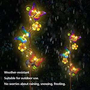 solar lights outdoor