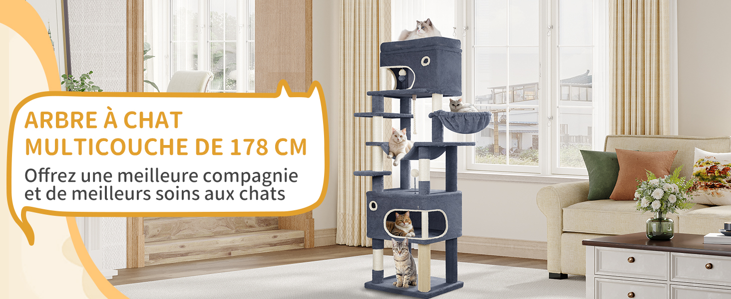 Tour de jeux pour chats