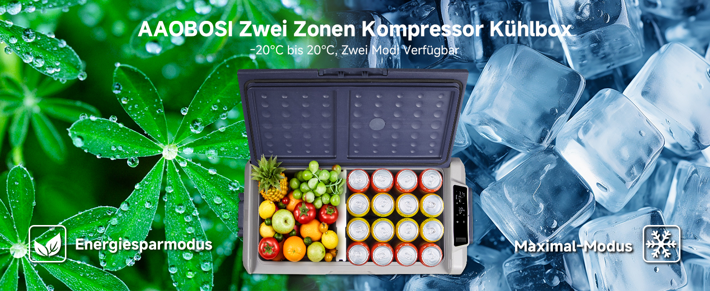 kompressor kühlschrank 12v